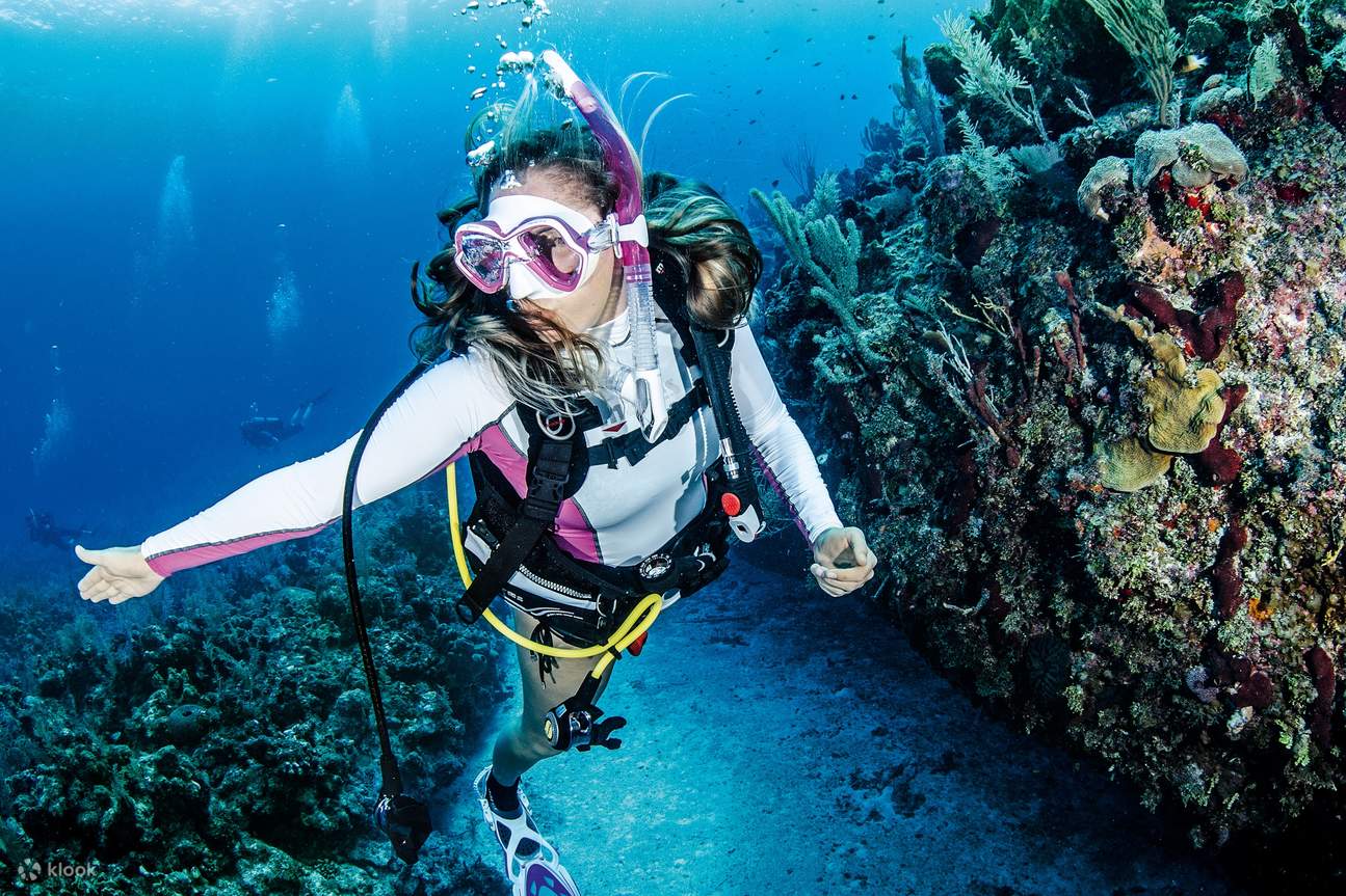 penyelam sedang menyelam